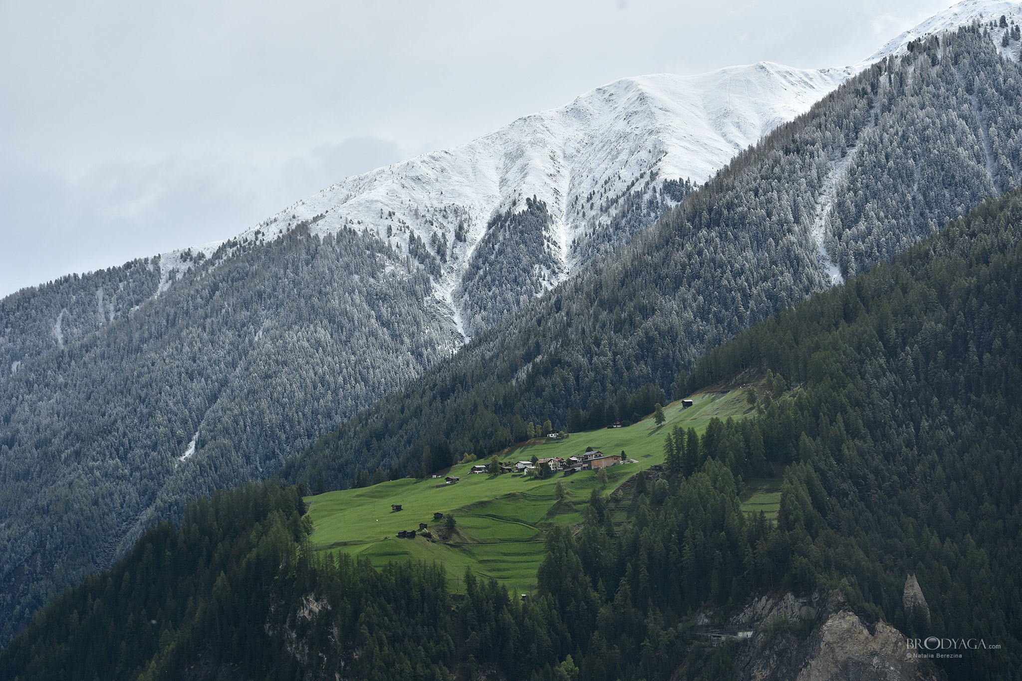 Wiesen